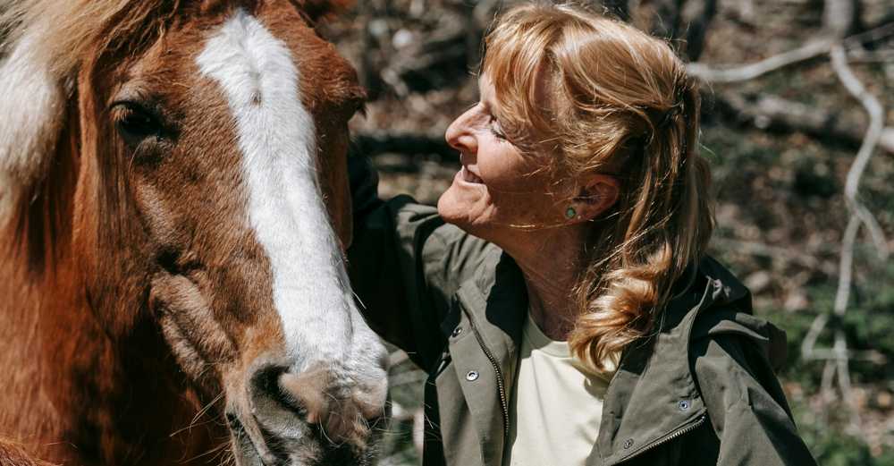 Ireway Equine Learning Services - Adult Services