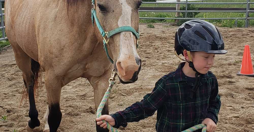 Ireway Equine Learning Services - Children Services