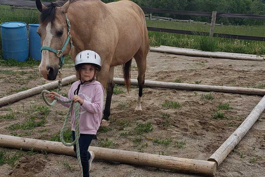 Ireway Equine Learning Services - Children Services