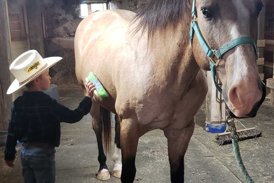 Ireway Equine Learning Services - Youth Services